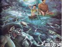 云南中视快运物流有限公司