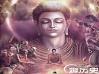 云南中视快运物流有限公司