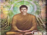 云南中视快运物流有限公司